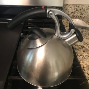 Stainless steal tea kettle